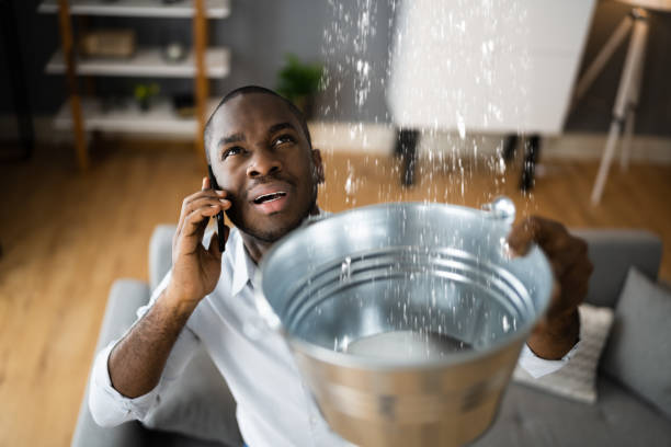 Best Flooded house restoration  in Pine Castle, FL