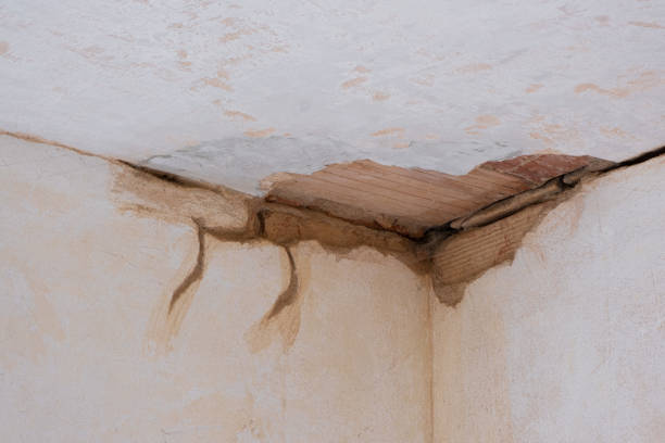 Best Residential water damage restoration  in Pine Castle, FL