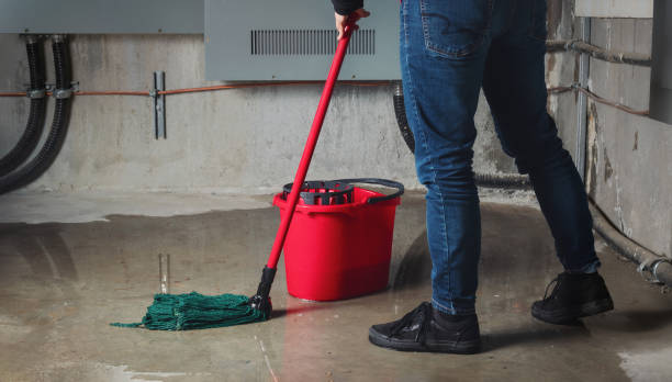 Best Flood restoration services  in Pine Castle, FL