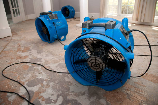 Best 24/7 water damage repair  in Pine Castle, FL