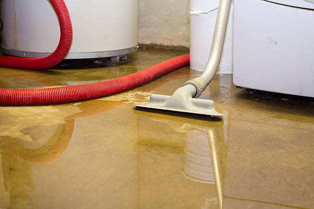 Water damage restoration process in FL