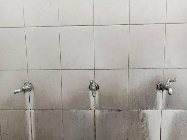 Best Sewage cleanup and water damage restoration  in Pine Castle, FL