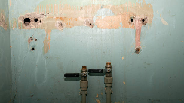 Best Water damage restoration near me  in Pine Castle, FL