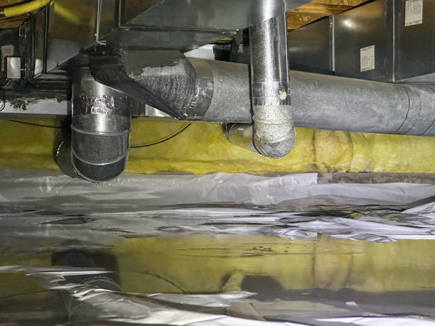 Best Water damage restoration process  in Pine Castle, FL