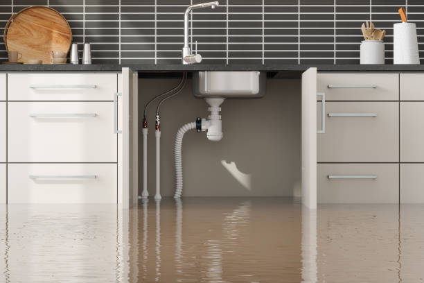 Best 24-hour water damage restoration  in Pine Castle, FL