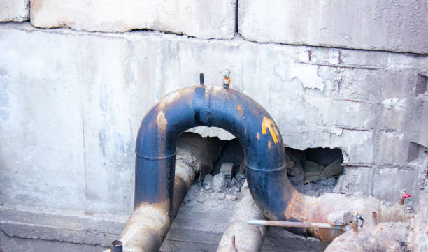 Best Professional water damage repair  in Pine Castle, FL