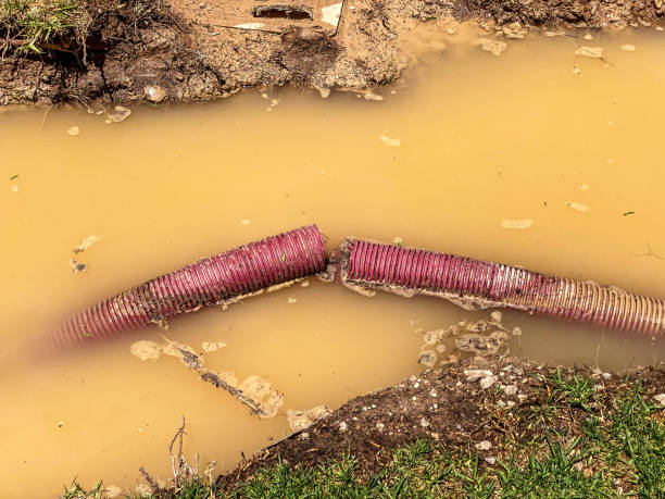 Best Water damage restoration mold remediation  in Pine Castle, FL