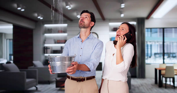 Best Flood restoration services  in Pine Castle, FL