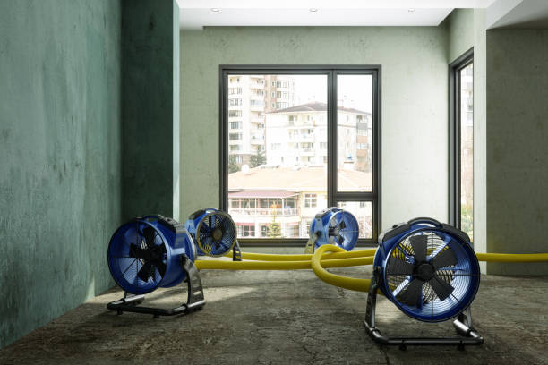 Best Water damage repair service  in Pine Castle, FL
