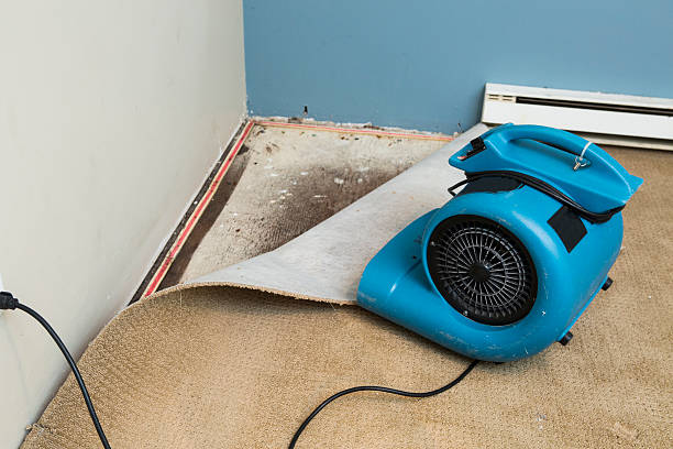 Best 24/7 water damage repair  in Pine Castle, FL